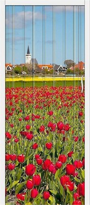 Браво-008 Т - 2 960 - фото 7268