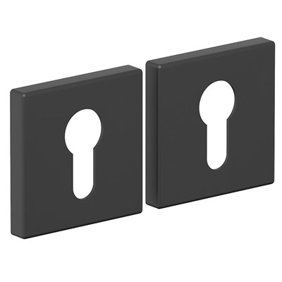 AS-3CL SBlack 5577 - фото 8923