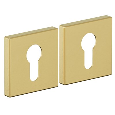 AS-3CL SGold 5579 - фото 8925