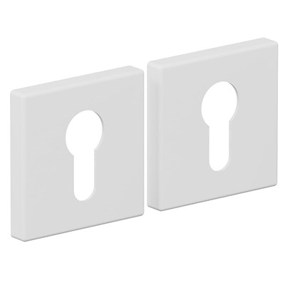 AS-3CL SWhite 5581 - фото 8927