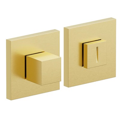 AS-3WC SGold 5585 - фото 8931