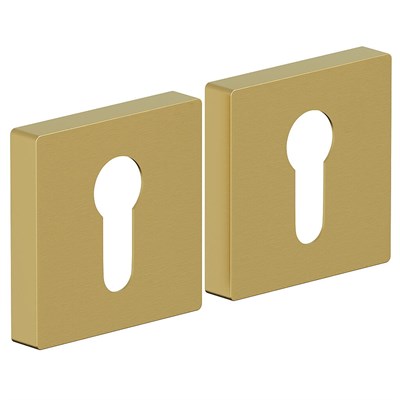 AS-6CL SGold 5861 - фото 9149